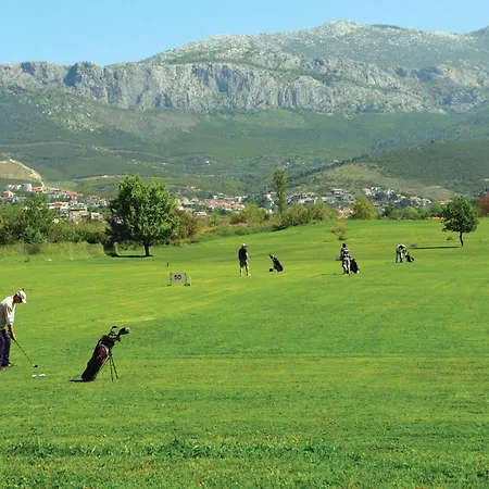 Beautiful In With Wifi